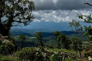 Illustration: A high-angle view of a green valley and distant plains beneath dark storm clouds framed by trees.