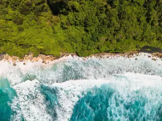 Illustration: Aerial view of turquoise ocean waves breaking against a rocky coastline lined with dense green trees.