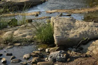 Illustration: A shallow stream flowing over rocks, mud, and dry grassy patches.