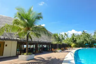 Illustration: A luxury tropical resort patio with palm trees and a large swimming pool under a blue sky.