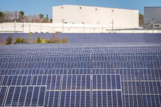 Illustration: Rows of blue solar panels stretch out in front of large industrial buildings.