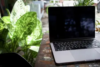 Illustration: A laptop on a rustic outdoor table next to lush tropical foliage.