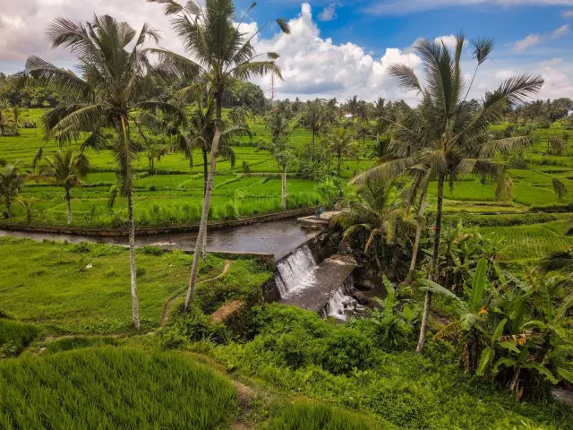 Bali emergency numbers: how 112, 110, 118 and 113 work for visitors