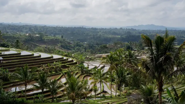 Bali visa on arrival: who can get it, how long it lasts and what it costs