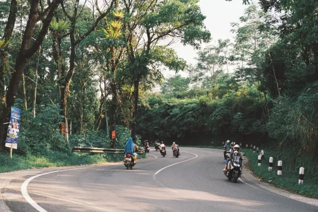 Denpasar to Ubud: distance, travel time and the cheapest way