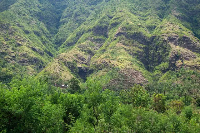 India Ranks Third Among Bali’s Foreign Visitor Markets