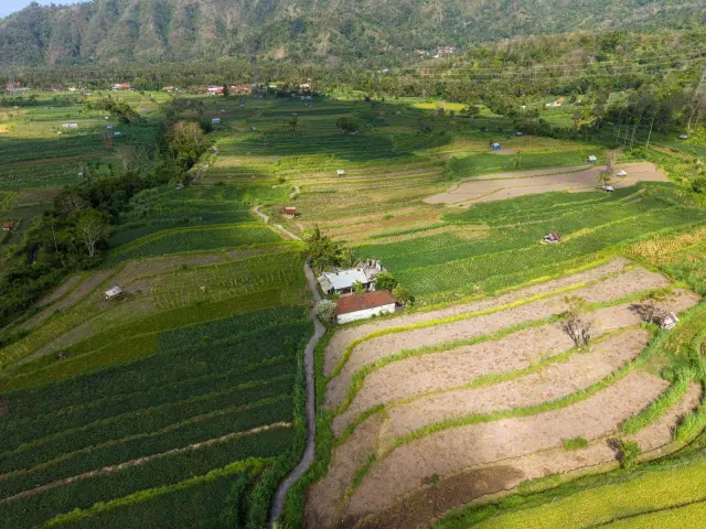 Bali Child Protection Commission Applications Close Sept. 25