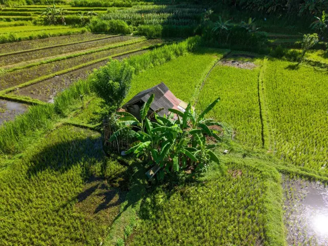 Balinese Calendar Marks Sept. 24 as Unsuitable for Weddings