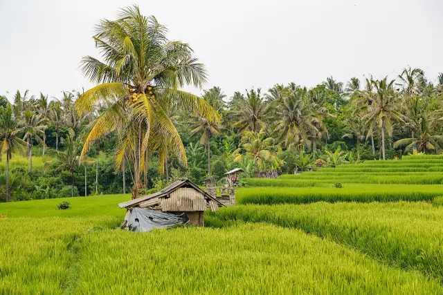 Bali forecast brings light rain to Tabanan on Sept. 26