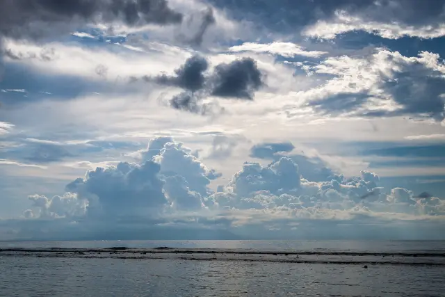 How busy are hotels across Lombok, Flores and Sumba?