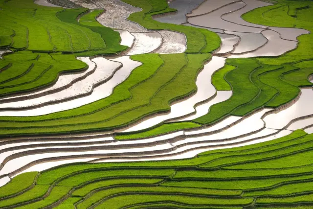 Bali Governor Defends Farmland Rules Amid Investment Pressure