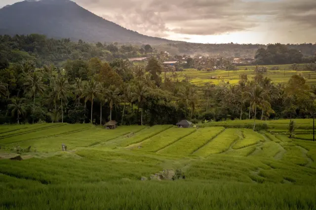 Bali long term visa: which Indonesia visa fits a long stay