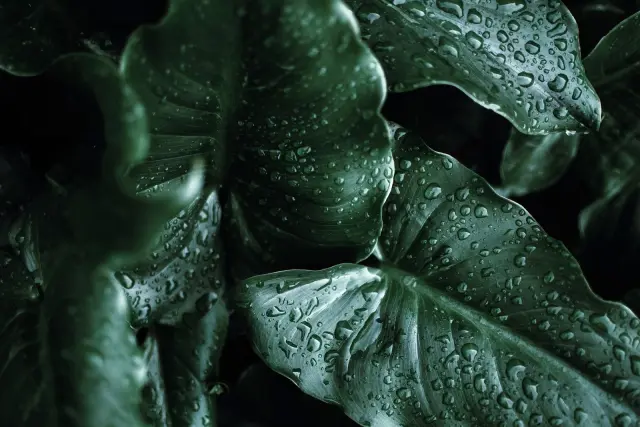 Bali rainfall explained: What travellers should know about wet-weather risk