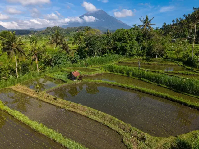 Karl Adolf Amrhein Nyepi violation: what happened in Bali