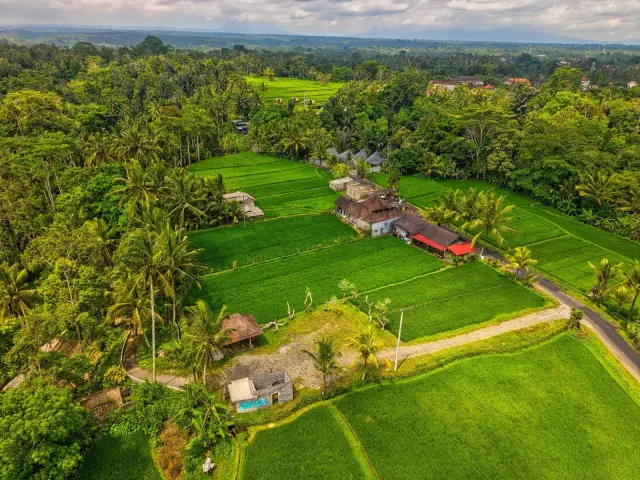PHRI Bali urges simpler permits for villas built in green-belt areas