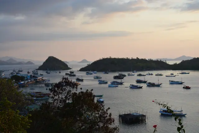 Three Chinese Tourists Report Alleged Liveaboard Fraud in Labuan Bajo