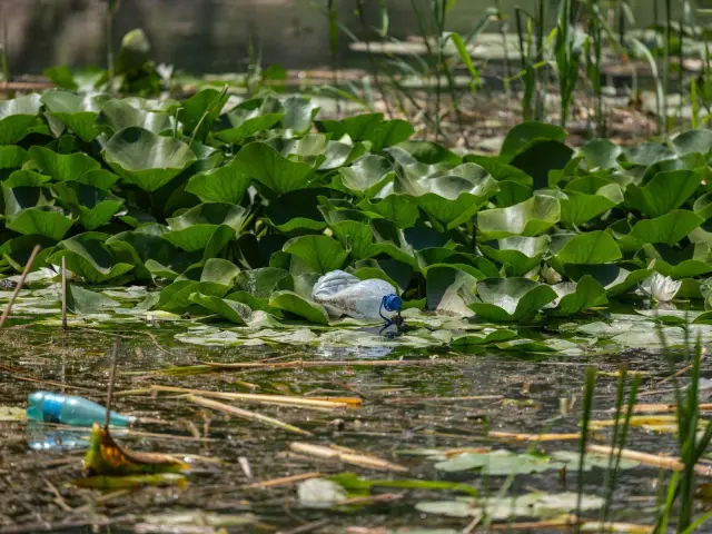 Tabanan clears illegal dumping from Yeh Dati River and plans CCTV monitoring