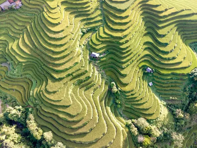 Bali lawmaker urges tighter checks on foreign visitors and businesses