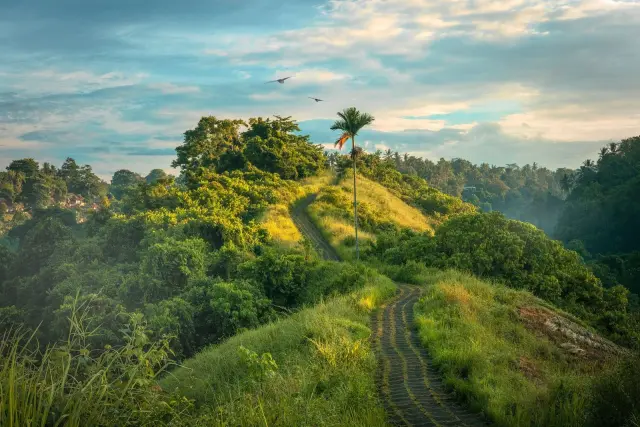 Bali Forecasts Clear Weather, Haze in Bangli