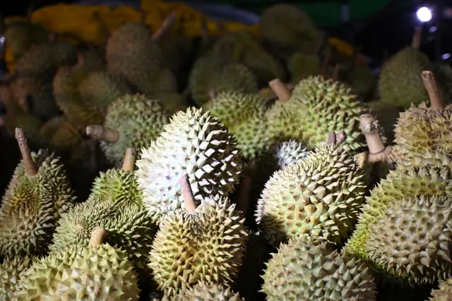 Police Arrest Gianyar Woman Over Suspected Penglipuran Theft