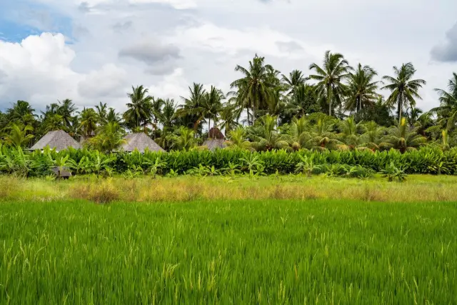 Gianyar Tightens Villa Permit Oversight in Three Investment Hotspots
