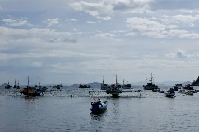 Sixteen Divers Search for Passenger Missing in Komodo Park