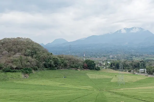 Magnitude 5.3 Earthquake Hits Northwest of Manggarai