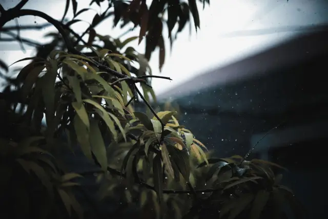 BMKG Warns of Severe Rain in Three Tabanan Districts